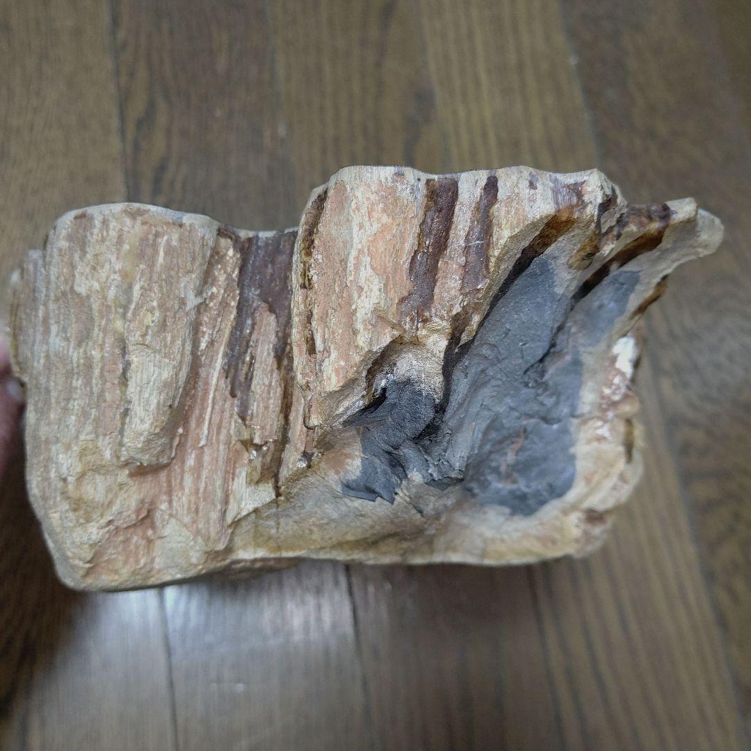値下げ珪化木の置物 検木の化石 オブジェクトインテリアペトリファイド