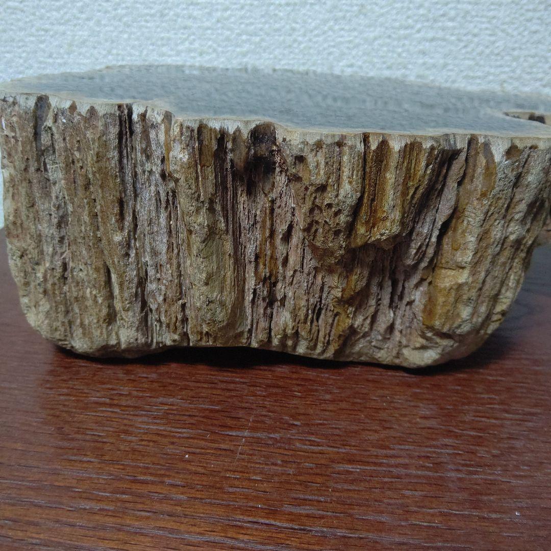 値下げ珪化木の置物 検木の化石 オブジェクトインテリアペトリファイド