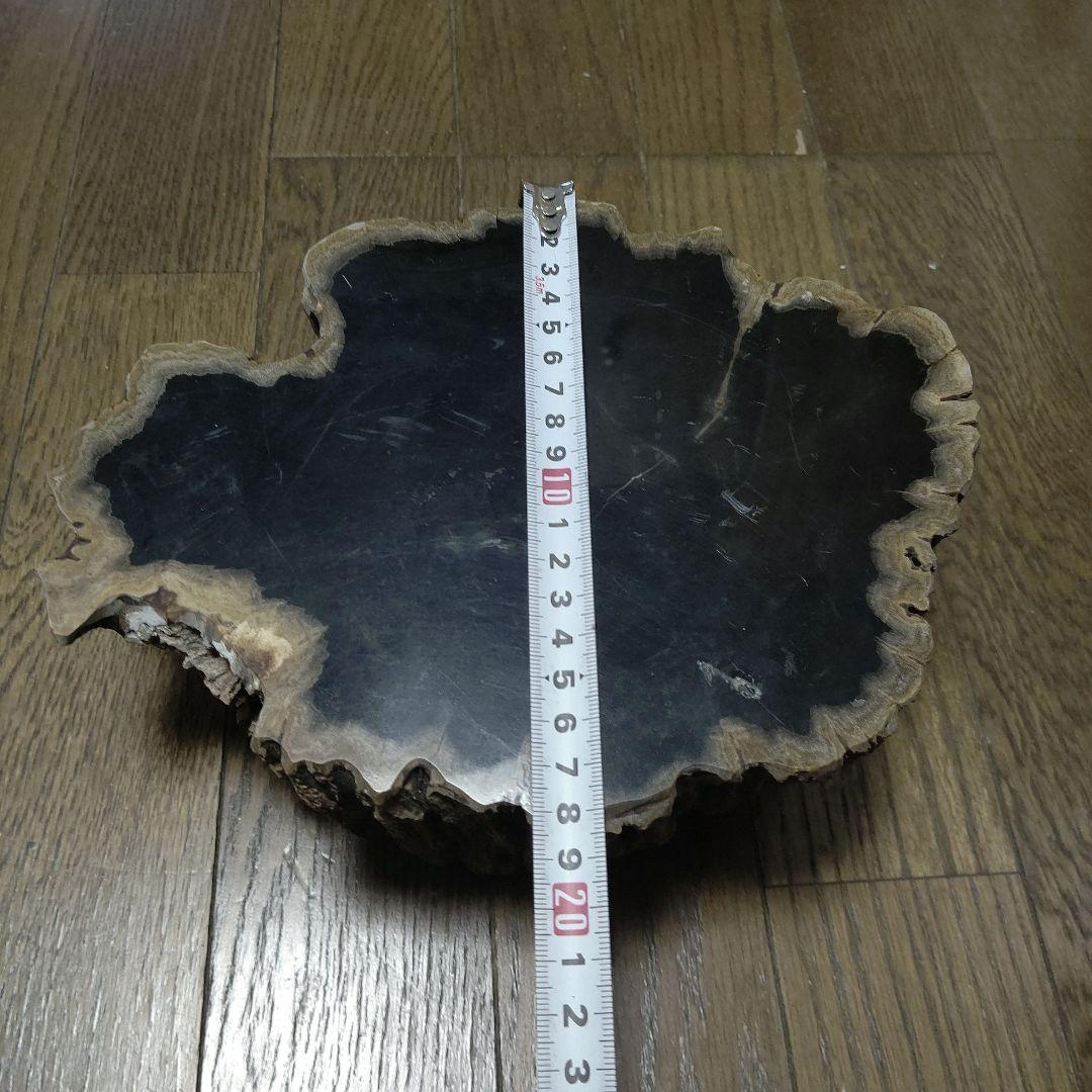 値下げ珪化木の置物 検木の化石 オブジェクトインテリアペトリファイド