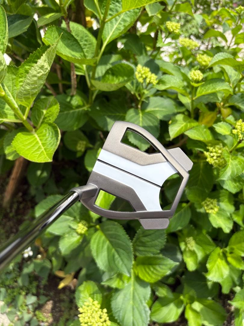 TaylorMade Spider Tour X トゥルーパス スモールスラント