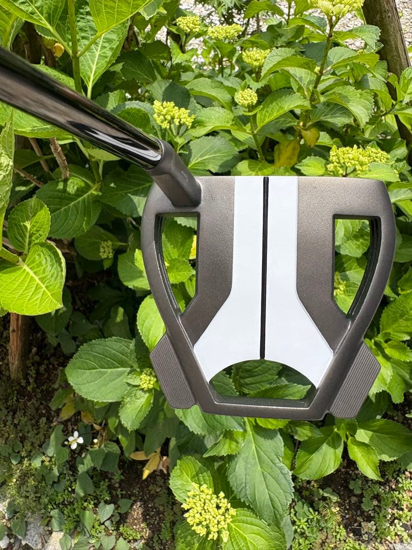 TaylorMade Spider Tour X トゥルーパス スモールスラント