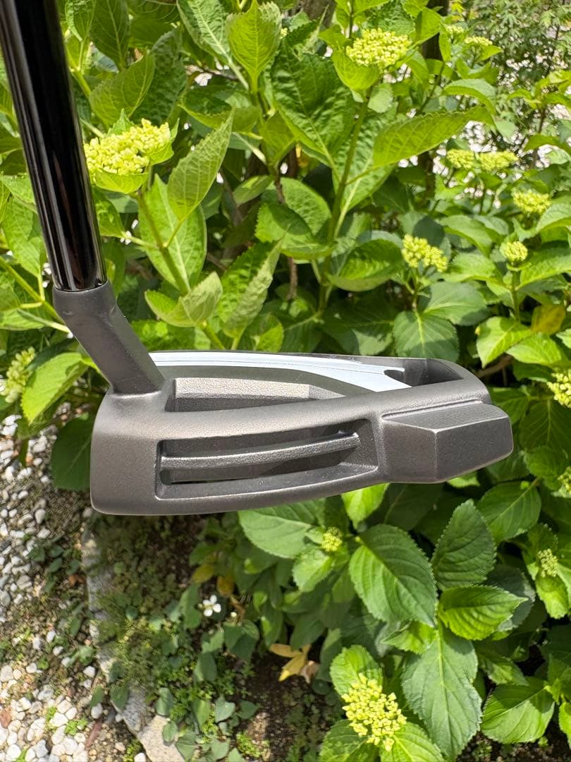 TaylorMade Spider Tour X トゥルーパス スモールスラント