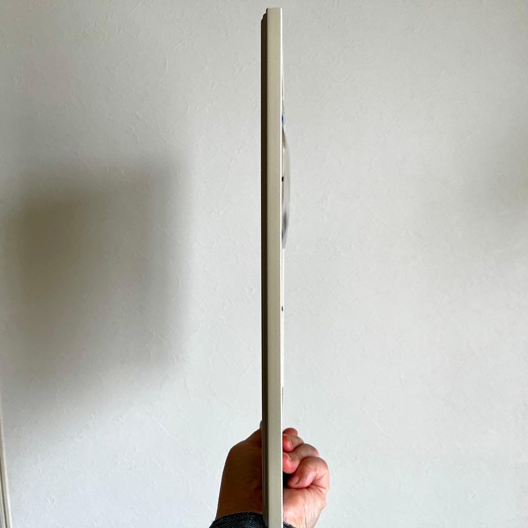 水彩画 原画 花 フラワー 井上美香代 真作 絵画 白菊 スターチス 浄化 開運