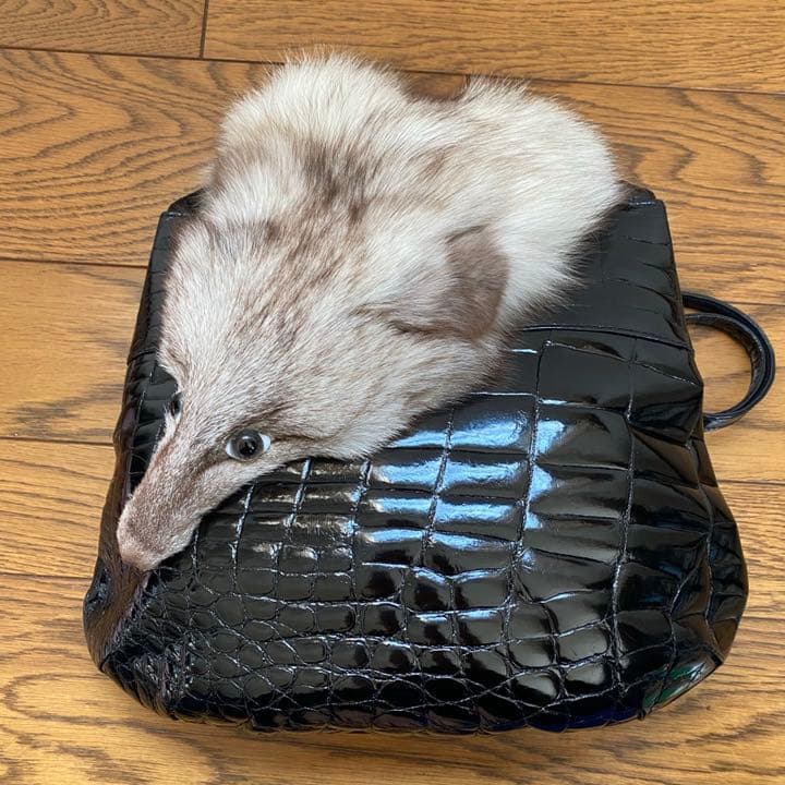 SANTANGELO ALDO イタリア製 クロコダイル バッグ - メルカリ