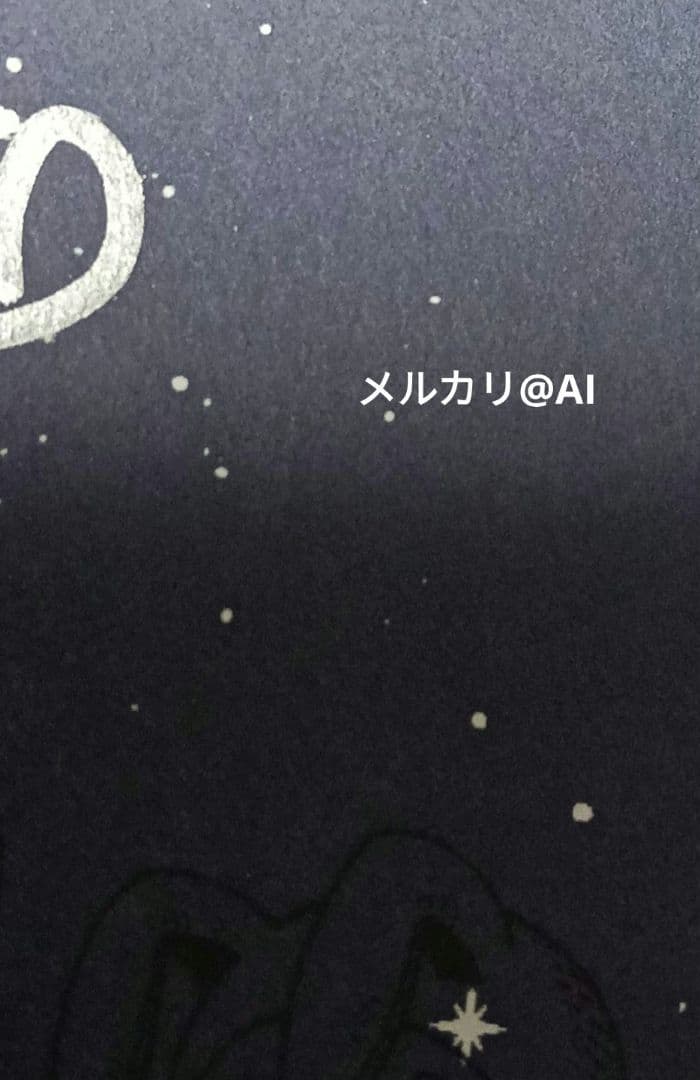 星降る王国のニナ　画集　リカチ　直筆　サイン本