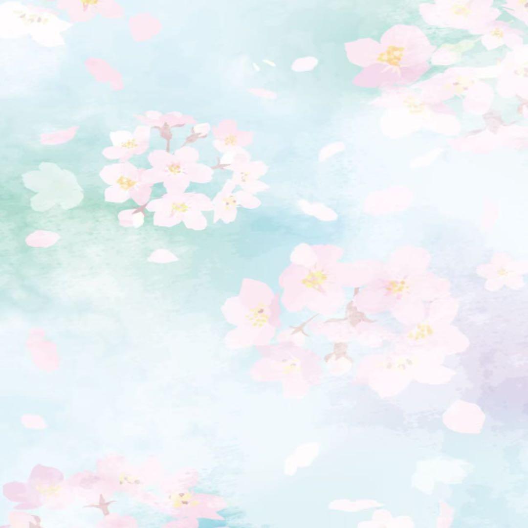 McCoyマッコイ マクセリーシェイプ 250g（2本セット） - メルカリ