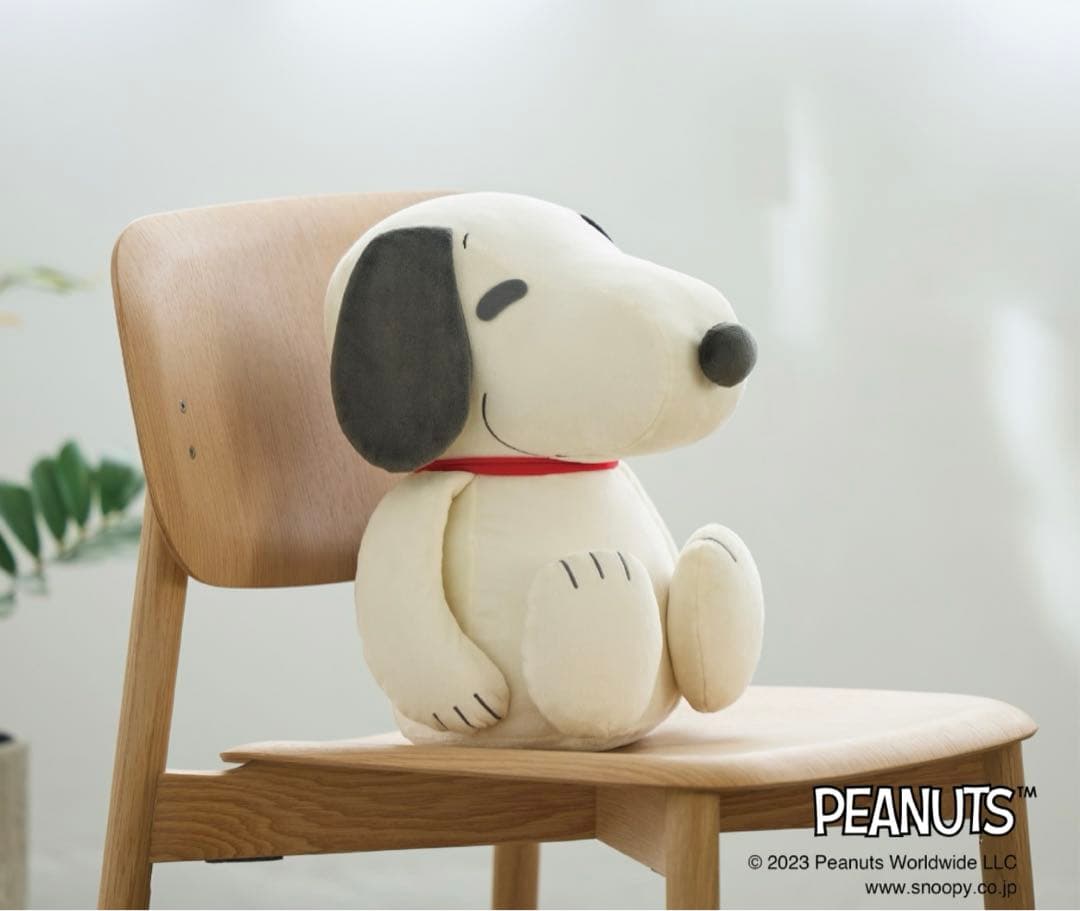 ⭐️新品未使用MIZUNO⭐️コラボ スヌーピー メディシンボール 2kg 楽天市場】送料無料 ミズノ メディシンボール スヌーピー mizuno