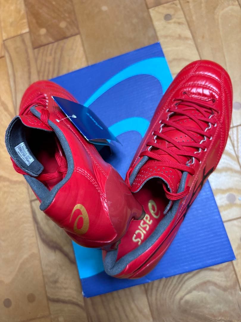 新品 激レア 廃盤 限定カラー アシックス DSライト X-FLY 4 25cm