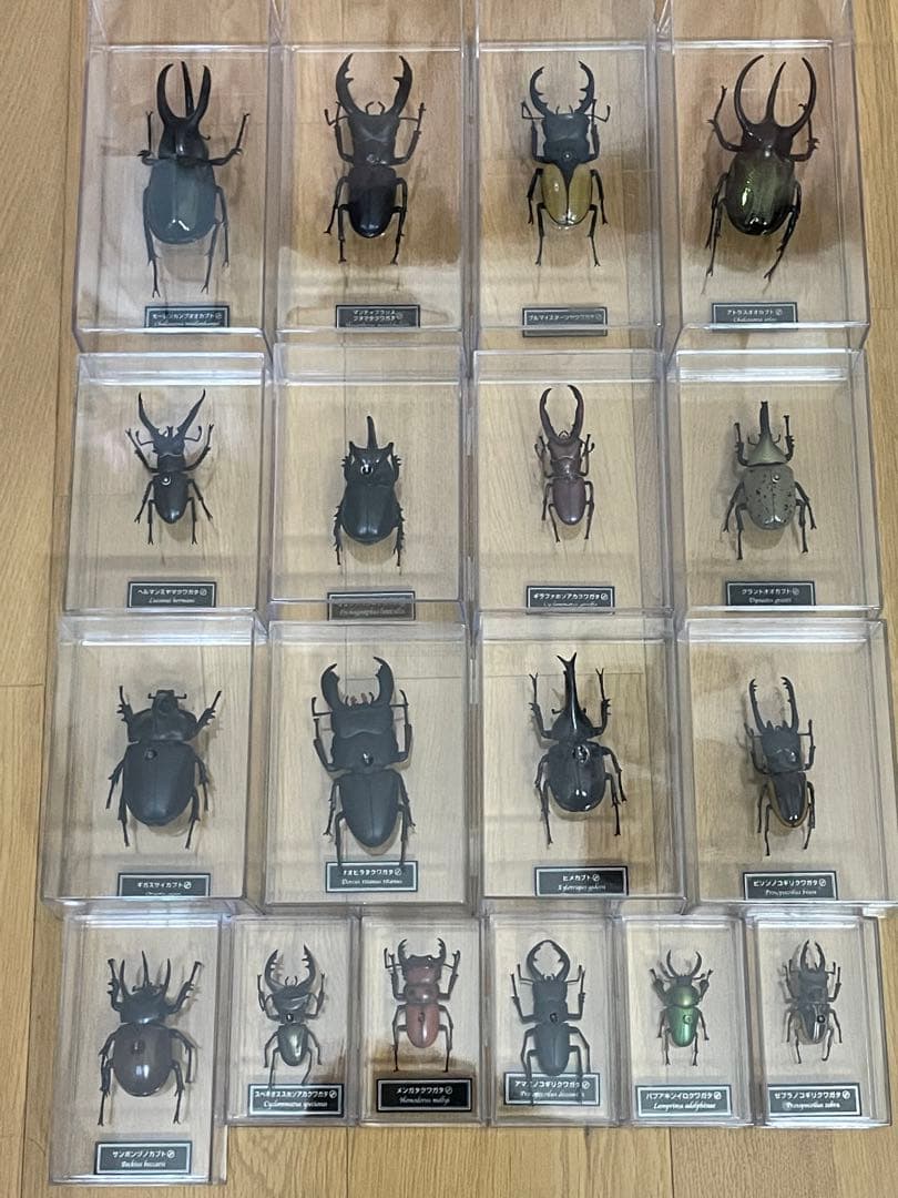 ディアゴスティーニ 世界の昆虫 フィギュア 29種類 - メルカリ