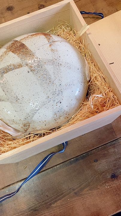 オンライン ショップホビー・楽器・アート - 志野焼 茶道具 志野ふた物