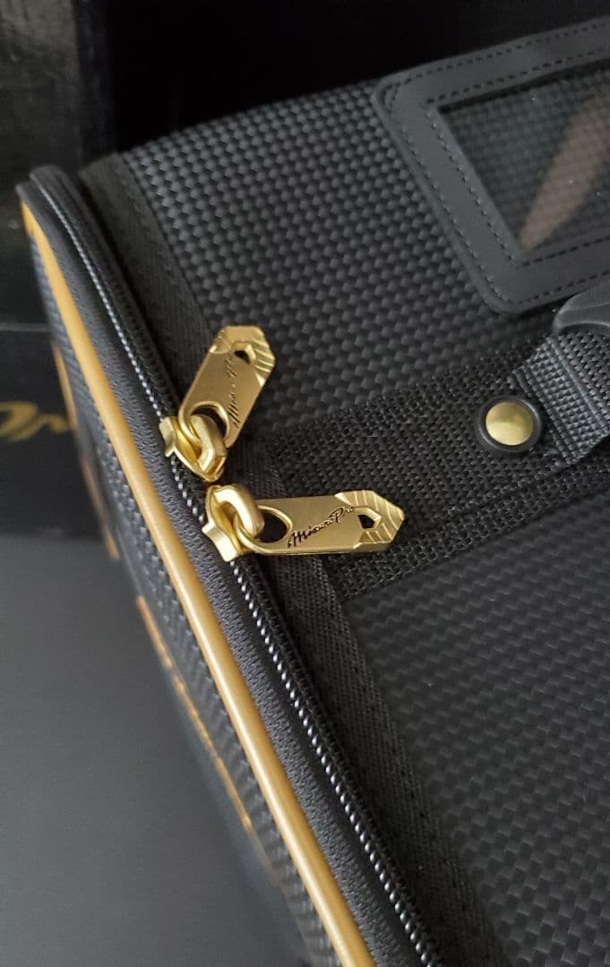 プロ使用モデル☆ミズノプロ希少品⚾スケルトングラブケース 20L ブラック