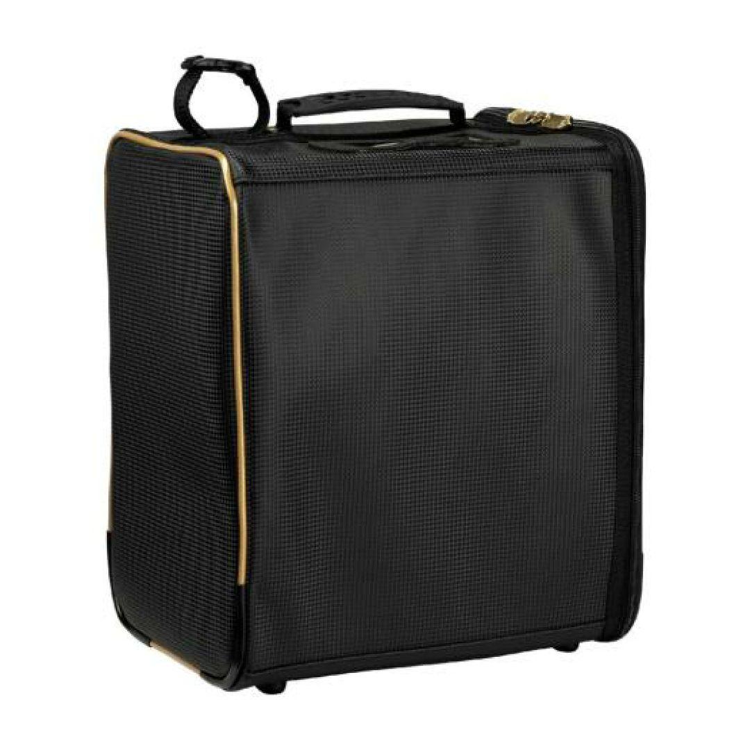 プロ使用モデル☆ミズノプロ希少品⚾スケルトングラブケース 20L ブラック