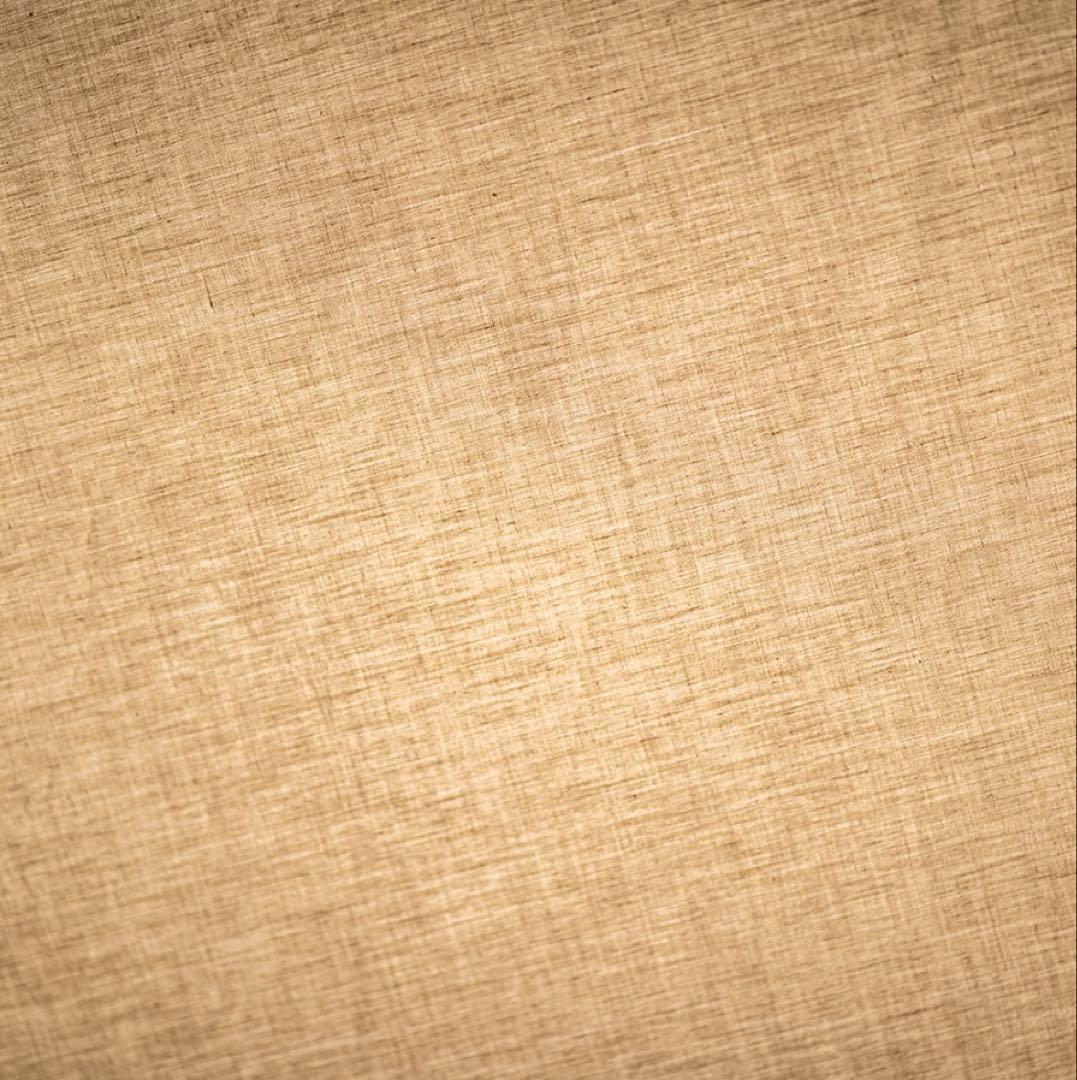 rizm　ogawaフィールドタープ レクタTC