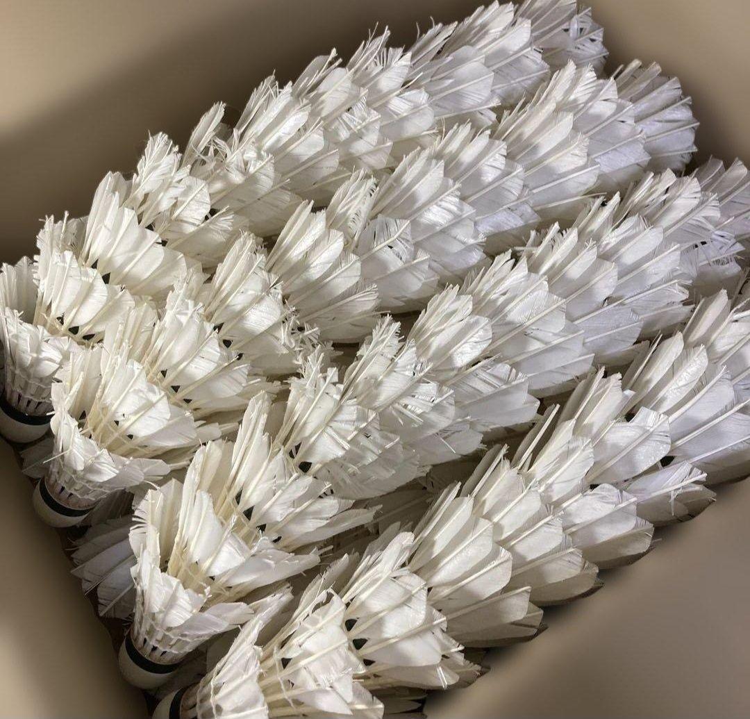 バドミントン 中古シャトル200球 - メルカリ