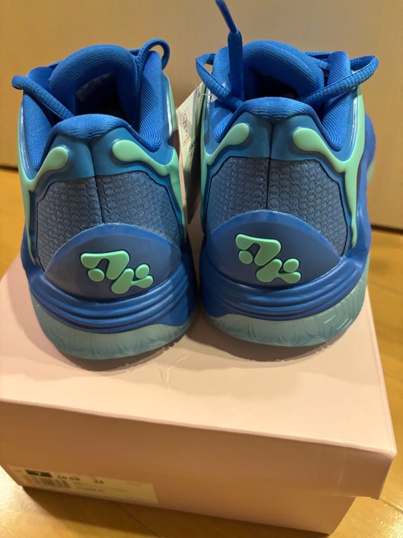 シューズ(男性用) PUMA Hali 1