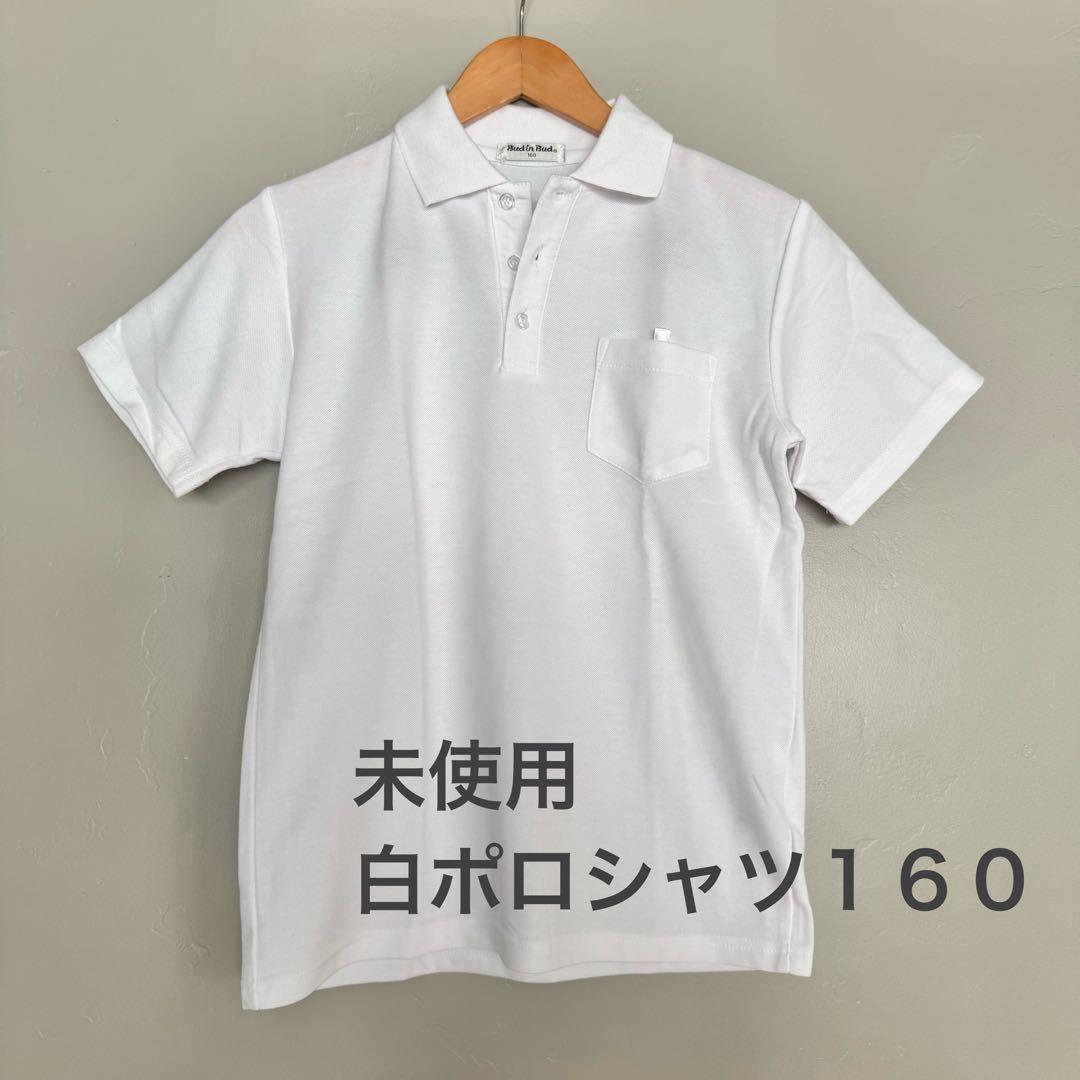 新品未使用 フレームワークス ロエフ 別注ポロシャツ 白 フレーム