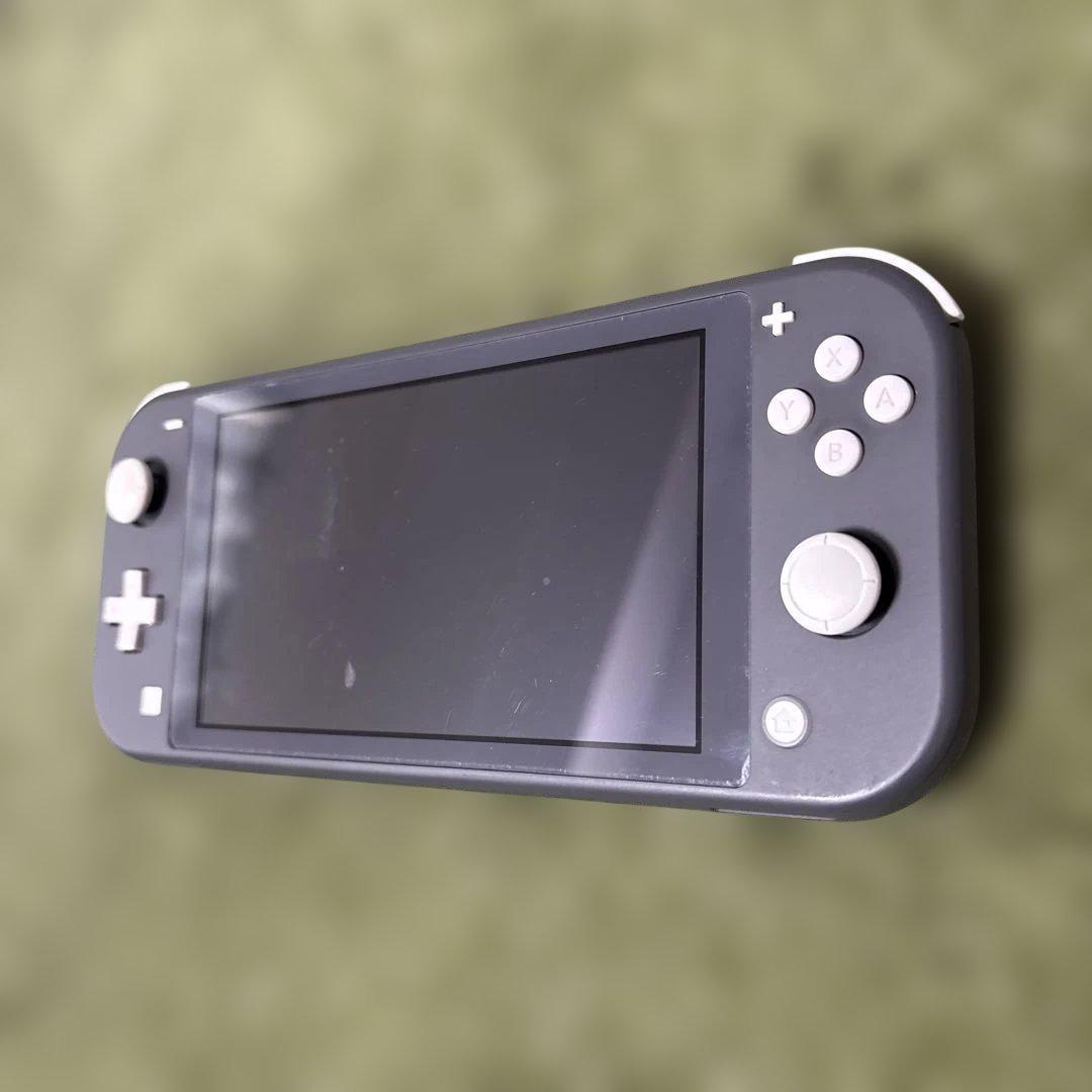 スイッチライト本体　ジャンク