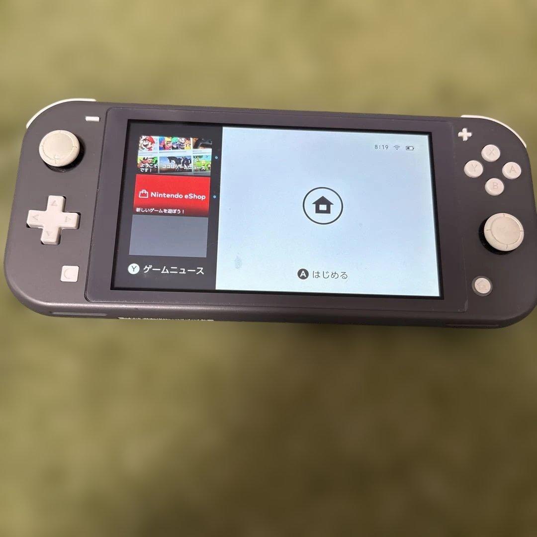 スイッチライト本体　ジャンク