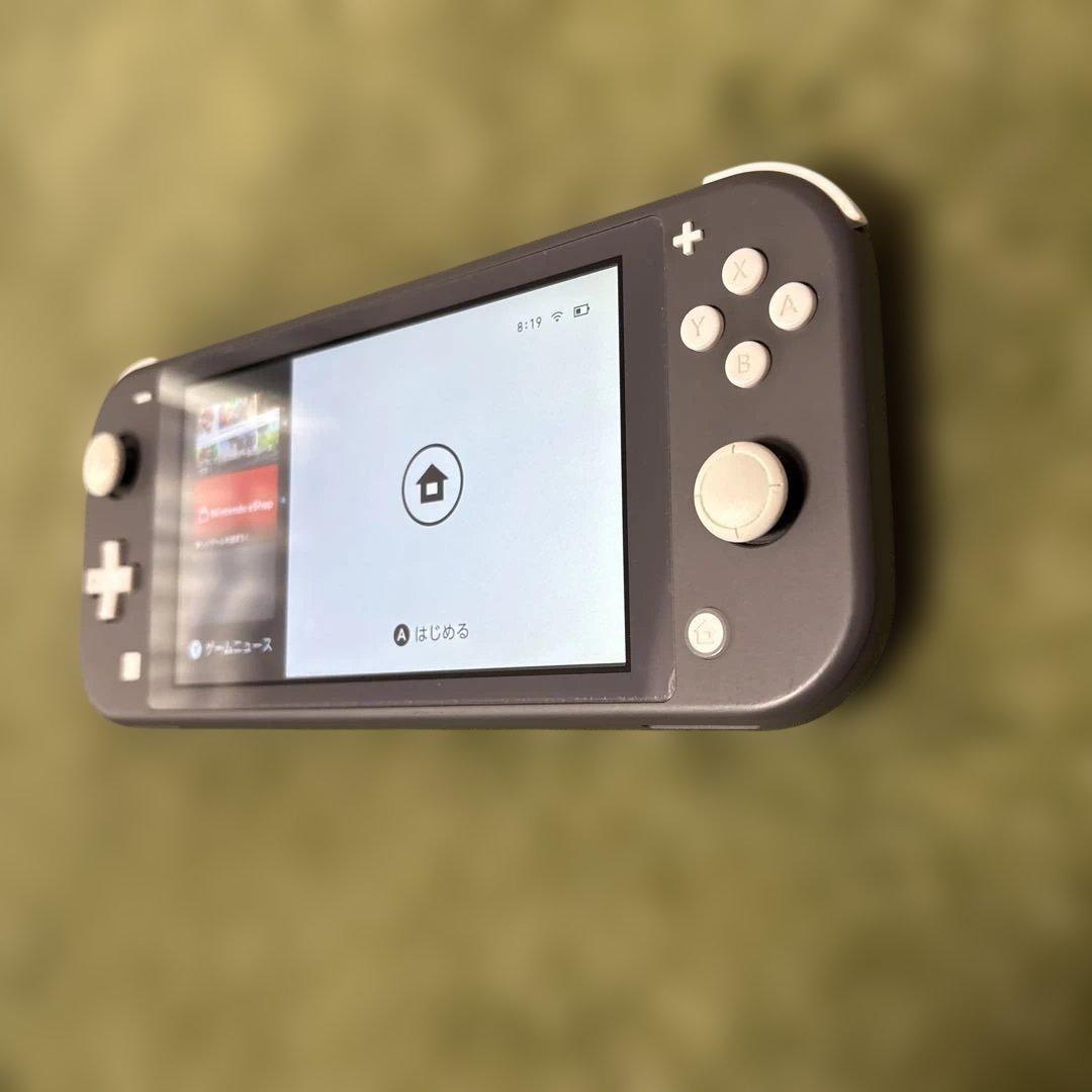 スイッチライト本体　ジャンク