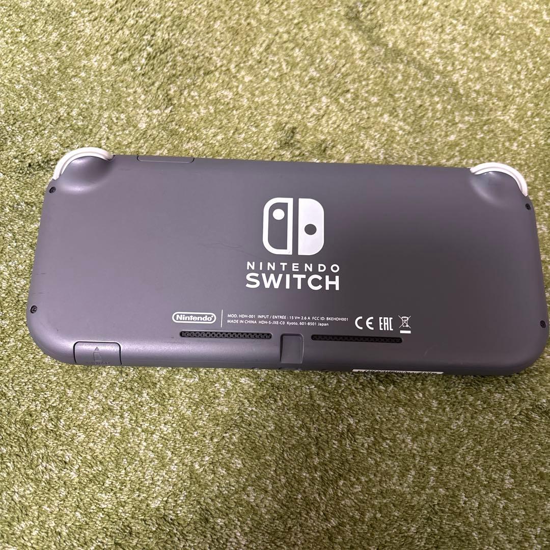 スイッチライト本体　ジャンク