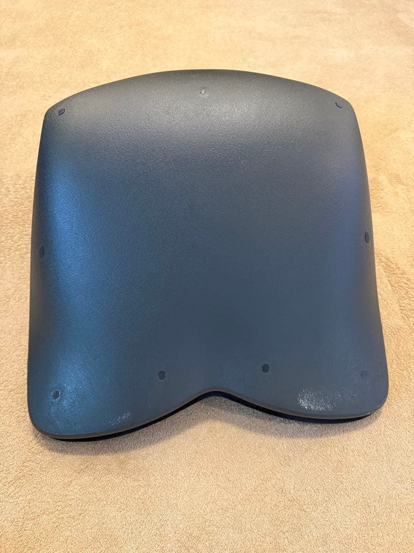 MTG エムティージー 骨盤サポート座椅子 Style PREMIUM DX 黒