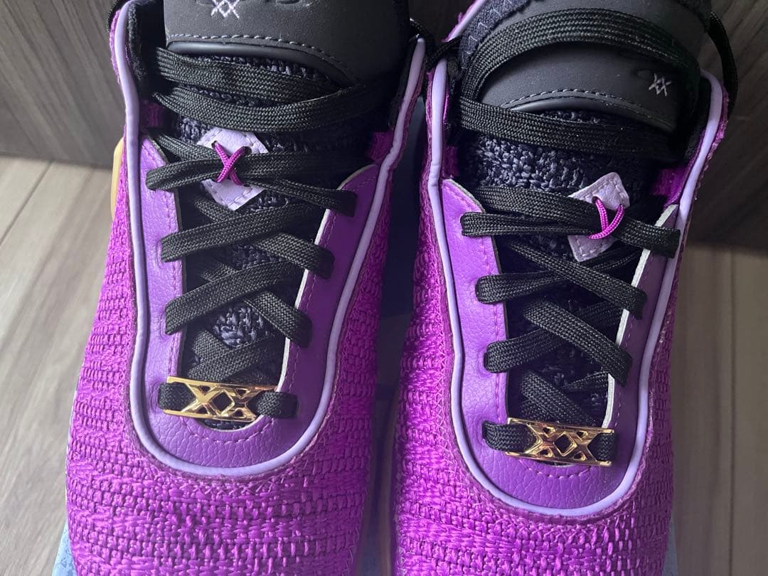 バッシュ　LEBRON XX SE (GS) 23.5㎝