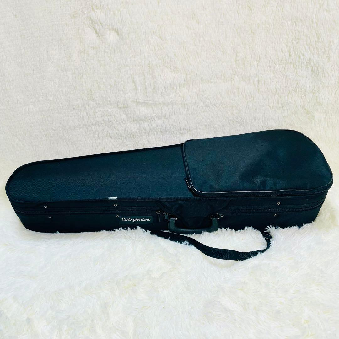 超美品　カルロジョルダーノ　サイレントバイオリン　EV-201 付属品多数