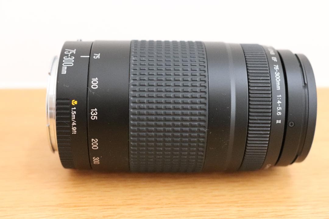 カ*ム様 Canon EF 75-300mm f/4-5.6Ⅱズームレンズ