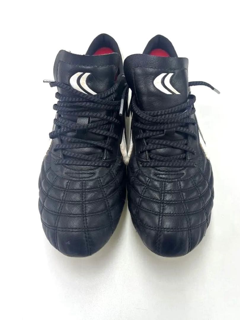 ヤスダ　リガレスタ Pro-ex