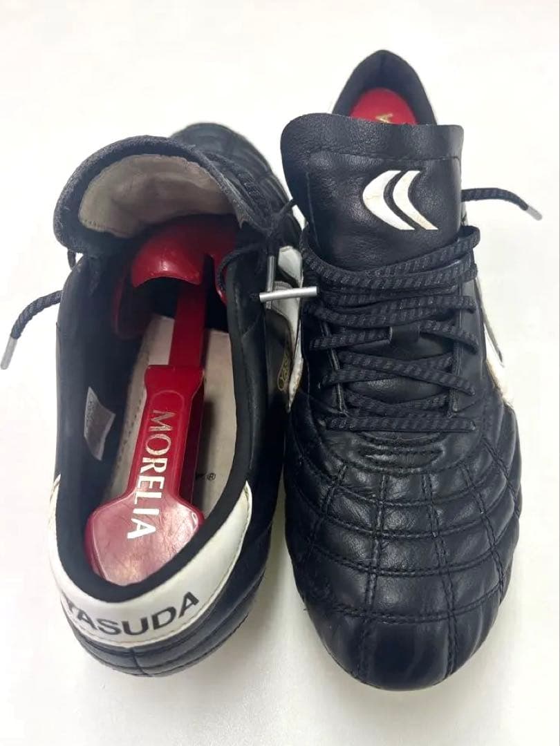 ヤスダ　リガレスタ Pro-ex