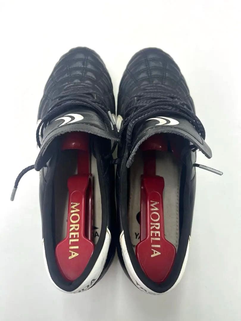 ヤスダ　リガレスタ Pro-ex