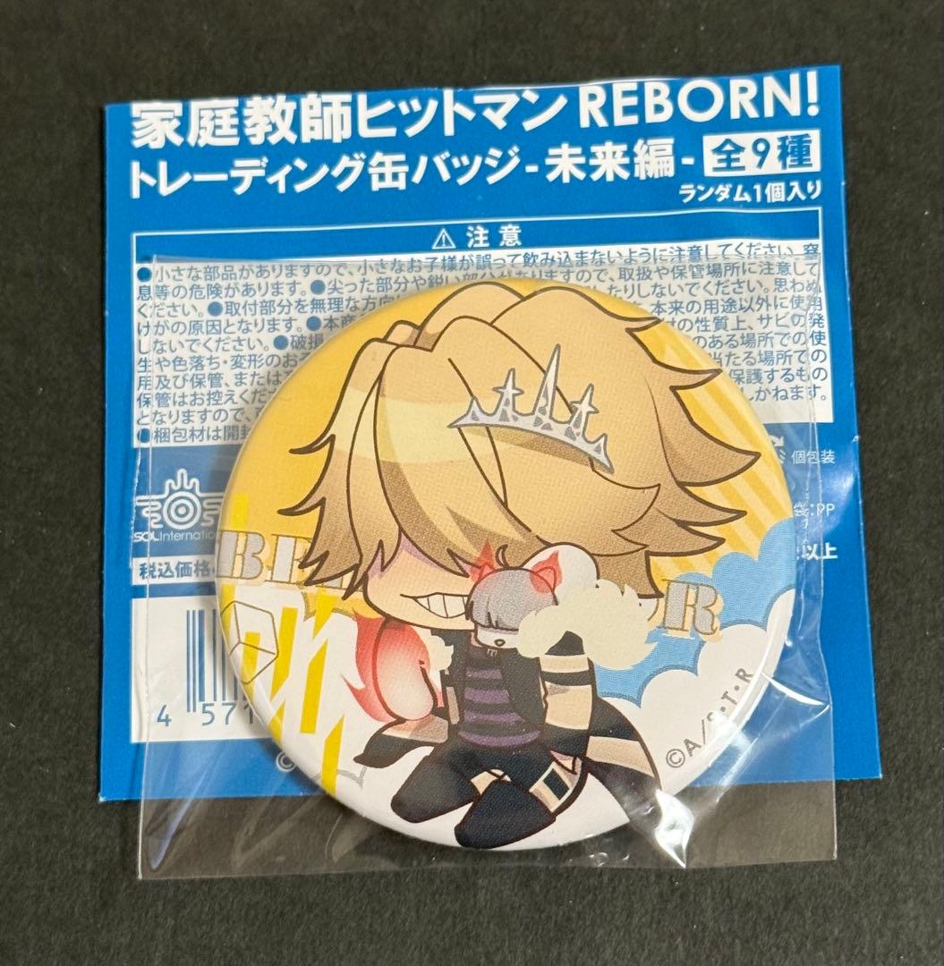 家庭教師ヒットマンリボーン REBORN 缶バッジ 未来編 ベルフェゴール