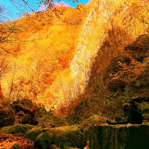 Backside Summit Design 森旅テーブル - メルカリ