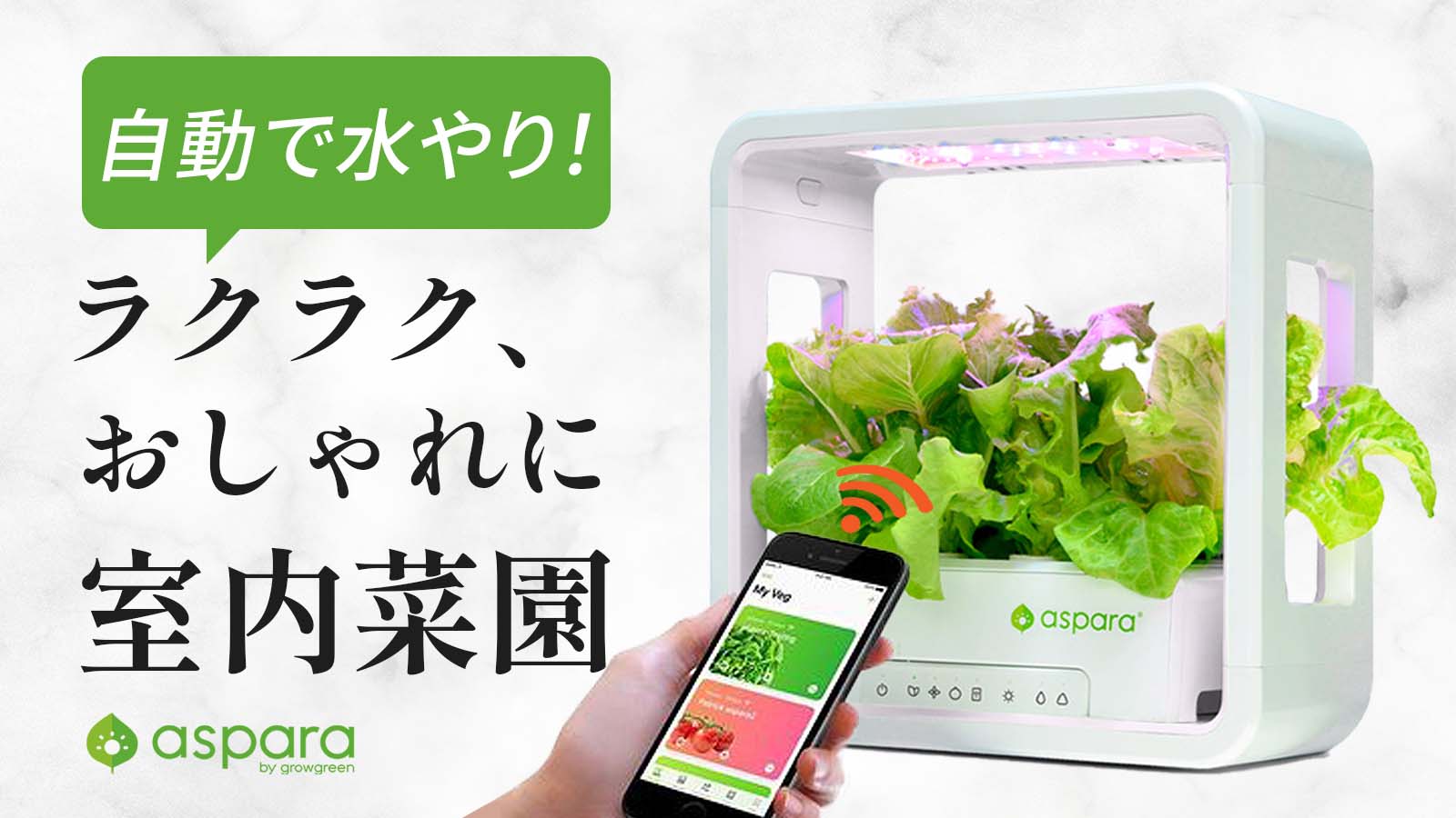 家庭菜園デビューに！特許技術でグングン成長！30日で収穫【室内用水耕