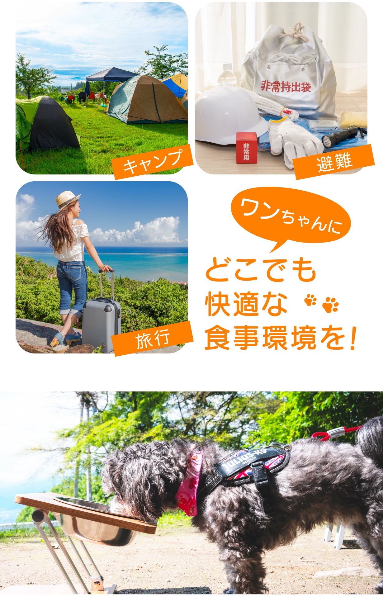 高さ×角度調整で愛犬の食事姿勢をサポート！持ち運び便利な折りたたみ