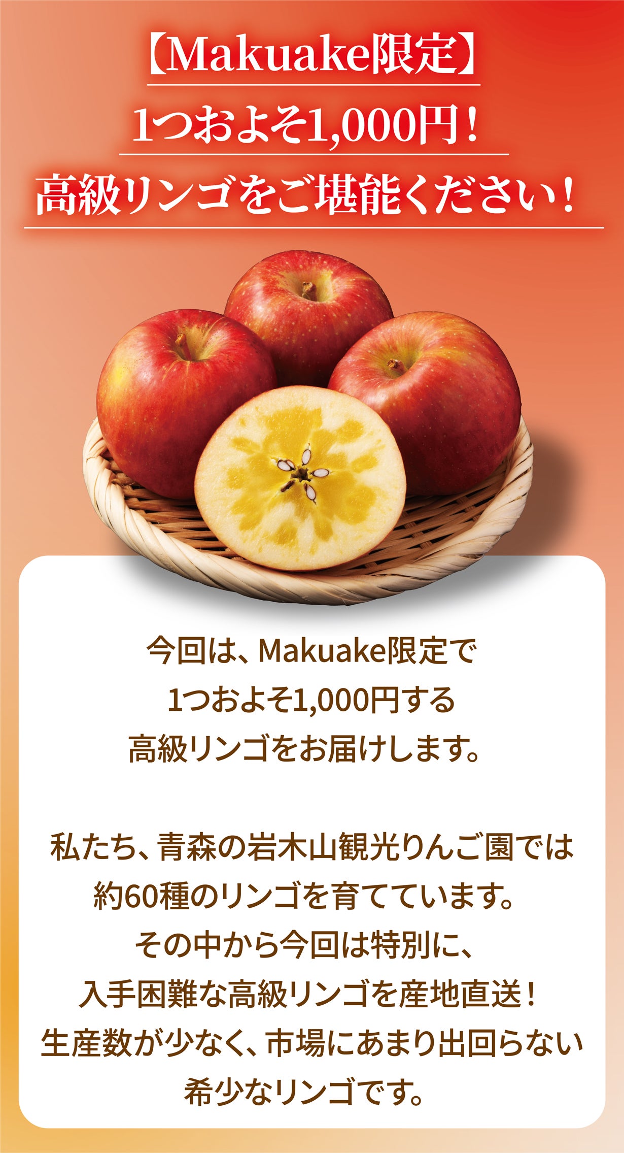 創業108年！青森の農園から採れたての〈あま〜い高級リンゴ〉を産地