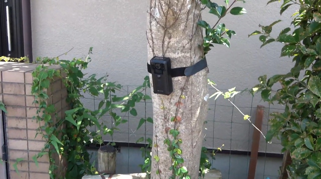 AKEEYO:どこでも取り付け簡単！暗視対応でコンパクトな防犯カメラ