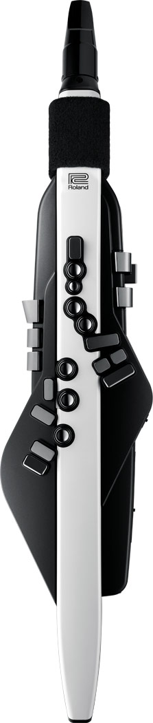 Roland - Aerophone AE-20 | Digital Wind Instrument