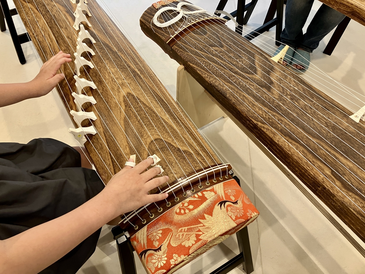 ②琴 13弦 日本 伝統的 楽器 和楽器 弦楽器 和琴 木製 13 琴柱