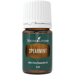 スペアミント 5ml | ヤング・リヴィング精油 | Young Living Essential