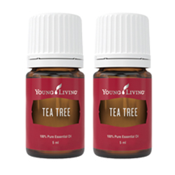 ティートゥリー 5mL 2本セット | Young Living Essential Oils