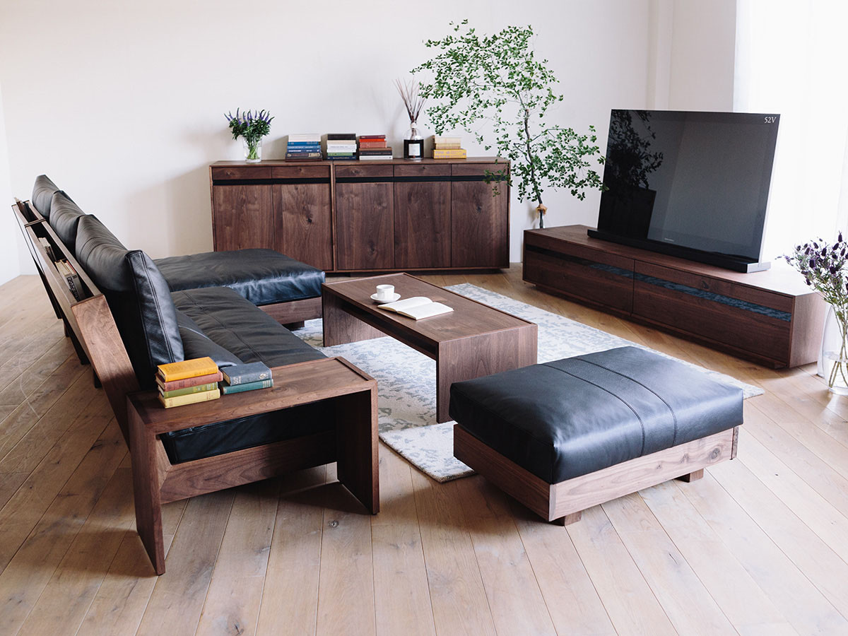 HIRASHIMA LIBERIA PLUS TV Board / ヒラシマ リベリアプラス テレビ