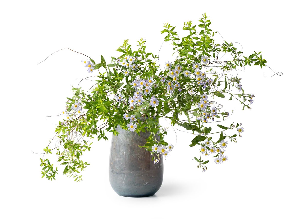 Henry Dean V.Stromboli S / ヘンリーディーン V.ストロンボリ S