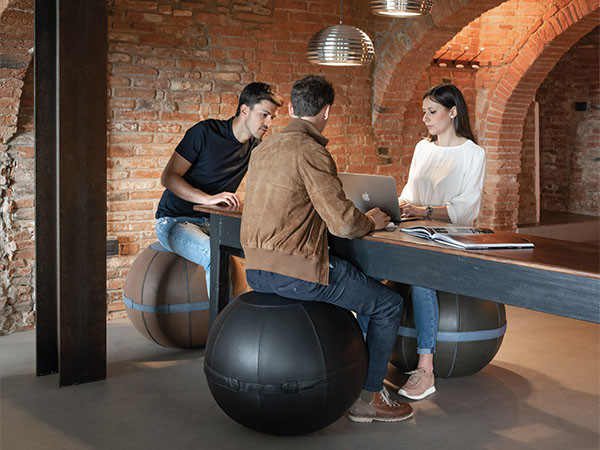 CASINI AURA Suede / カジーニ アウラ スエード バランスボール