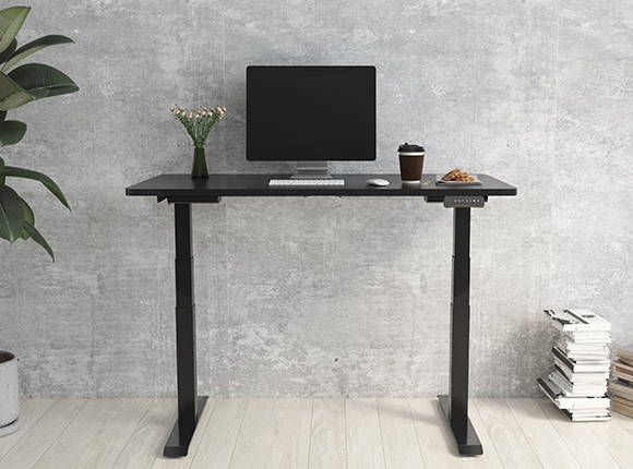 Electric Height Adjustable Standing Desk: Dual Motor Economical