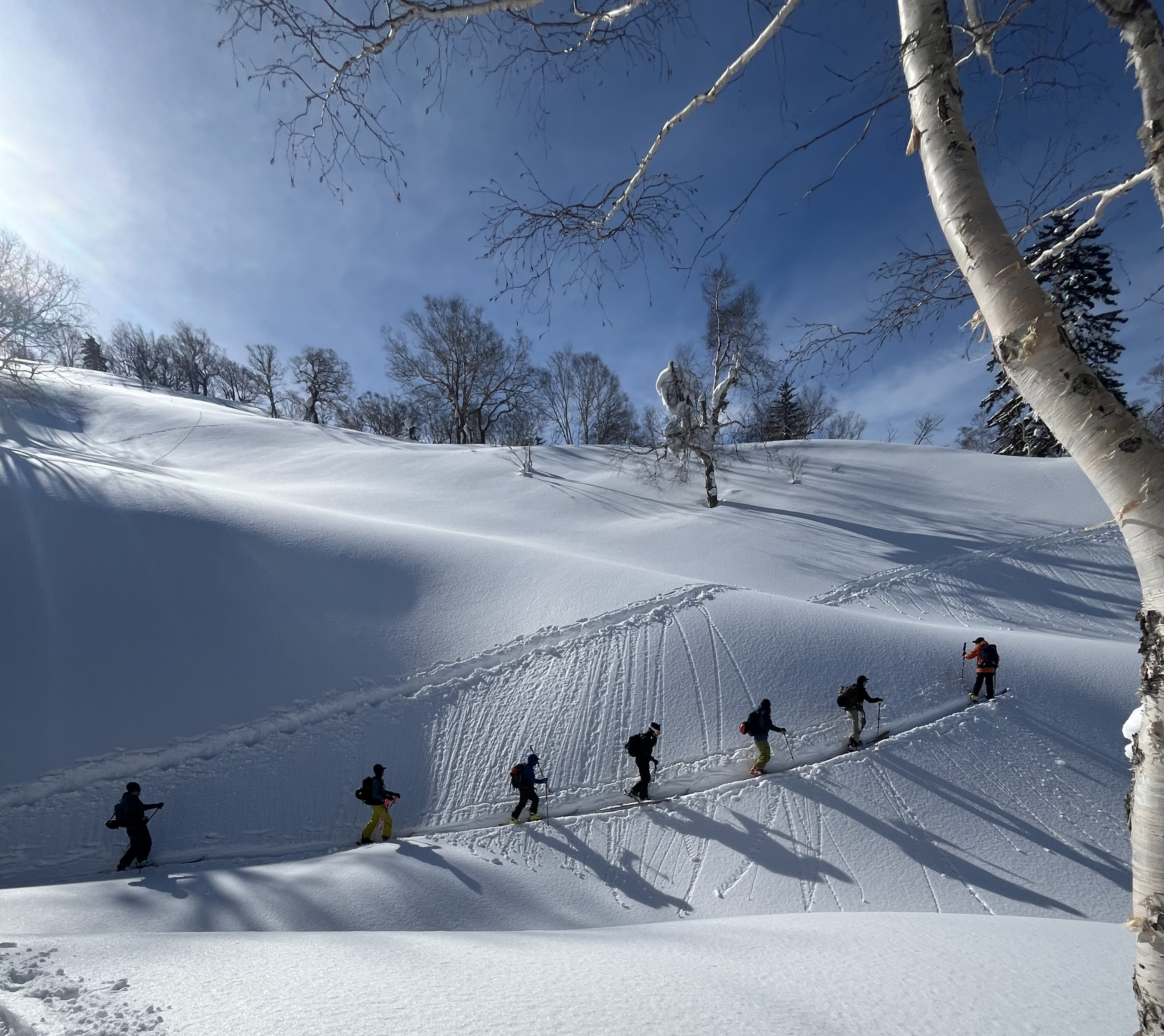 バックカントリーガイド愛用のクライミングスキン'24-25｜プロの選択と