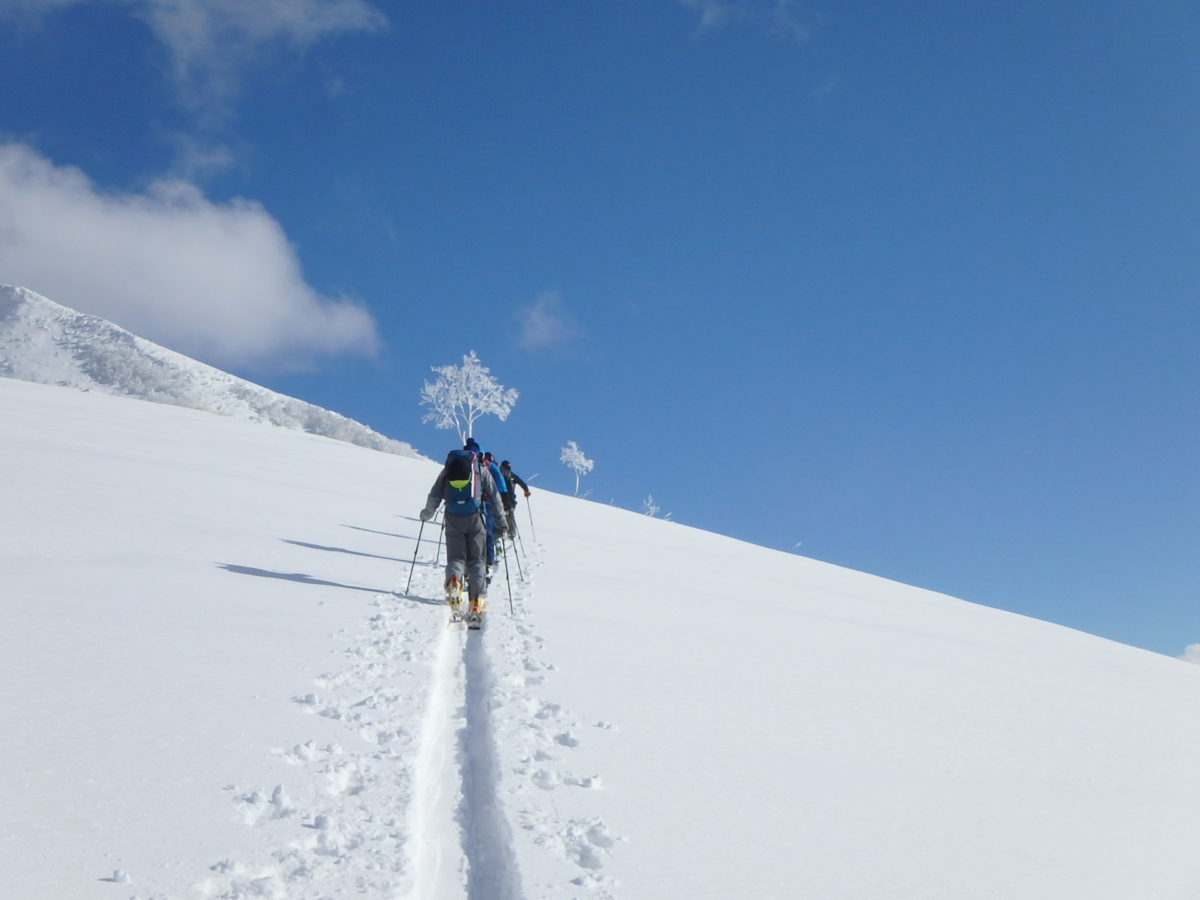 バックカントリー特集｜始め方・魅力・ガイド・ツアー・リスク