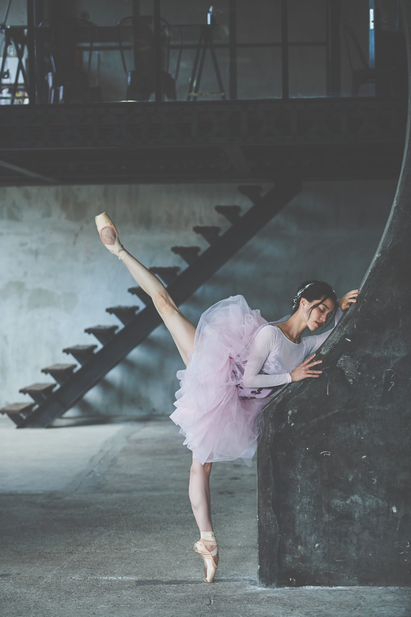 stina / type L long ribbon/brown pink×light pink