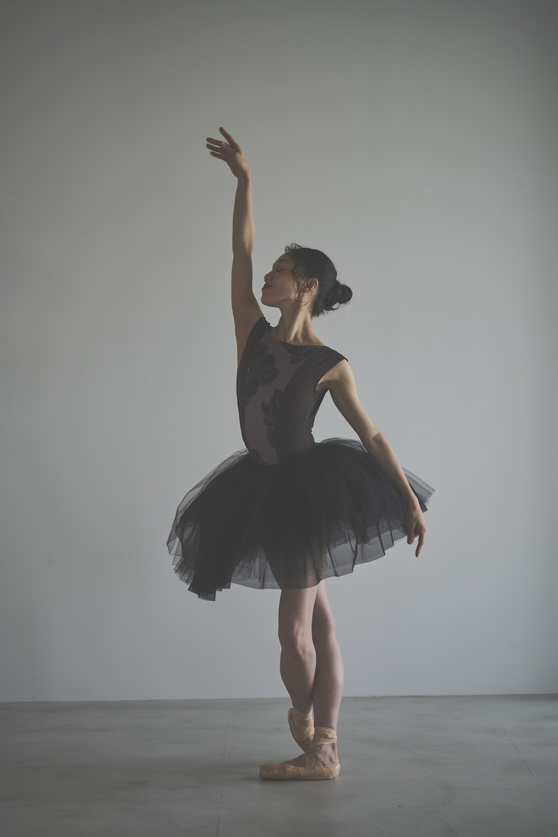 stina / type S french / Twilight Edge gold