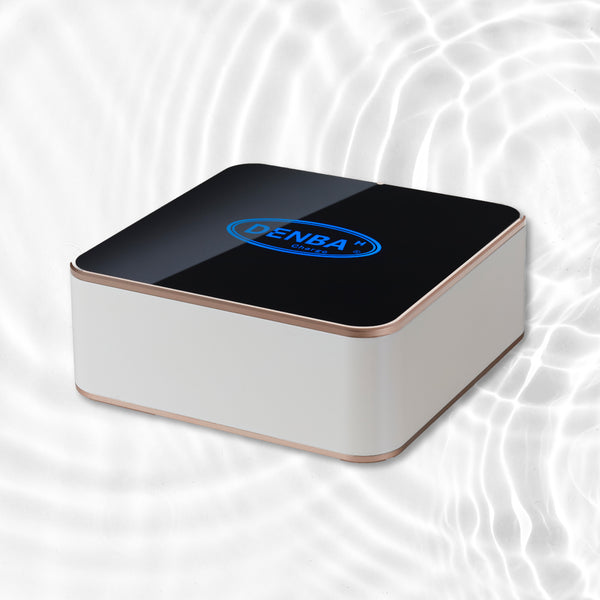 DENBA HEALTH DENBA Charger 健康管理機器 ZX DENBA HEALTH Charge